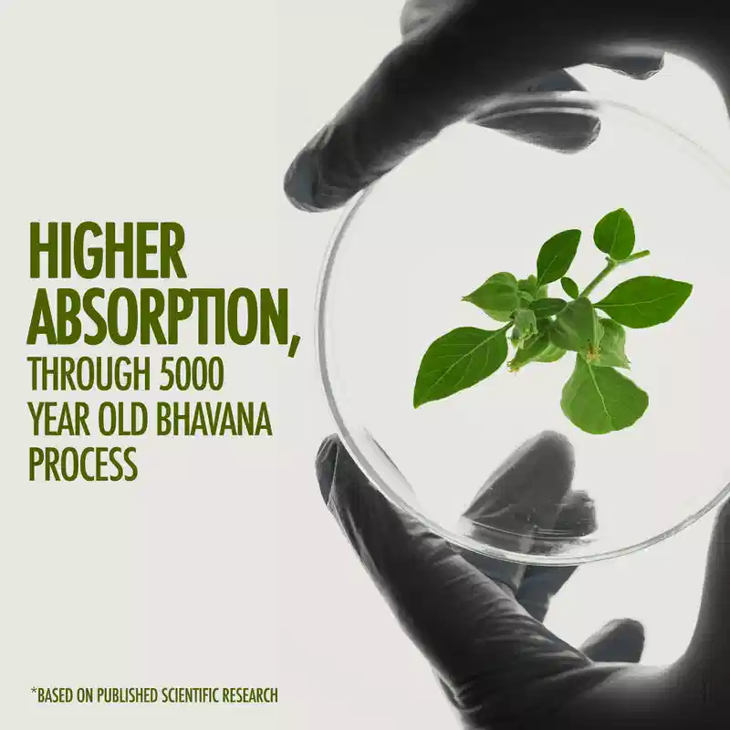 Kapiva Ashwagandha Gold (60 Capsules) - Image 4