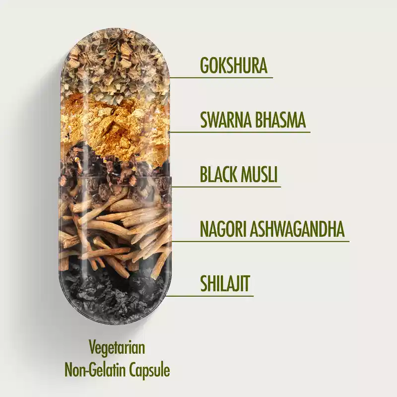 Kapiva Ashwagandha Gold (60 Capsules) - Image 5